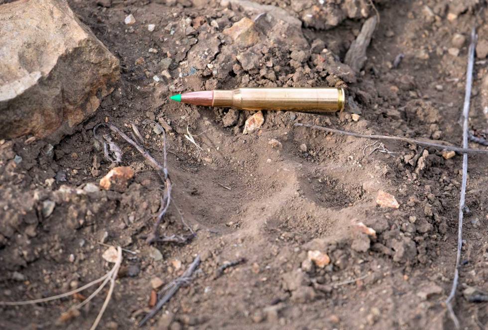 Stor pus: Om det er svære bukker, enorm kondor eller smidig puma som er bergenes konge, behøver vi ikke diskutere. Den dagen vi fant ferske pumaspor, var det fint lite hjort å se. Patronen er i kaliber 30.06. Hjortejakt-i-Argentina-Patagonia-3