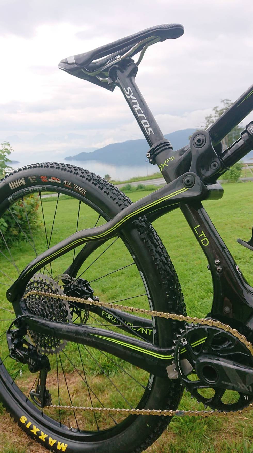 FORSTERKEDE DEKK: Hildegunn kjører med Maxxis Ikon EXO i 2,25 tommers bredde bak. Foran har hun Specialized Fast Trak i 2,3-tommers bredde. Hildegunn Hovdenak Hard Rocx