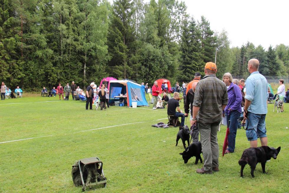 Finn jegerne: Det er ofte lett å finne jegerne på en vanlig utstilling. Av og til ser det ut som verken folk eller bikkjer vil delta. Hundeskolen-Utstilling-av-hund-2