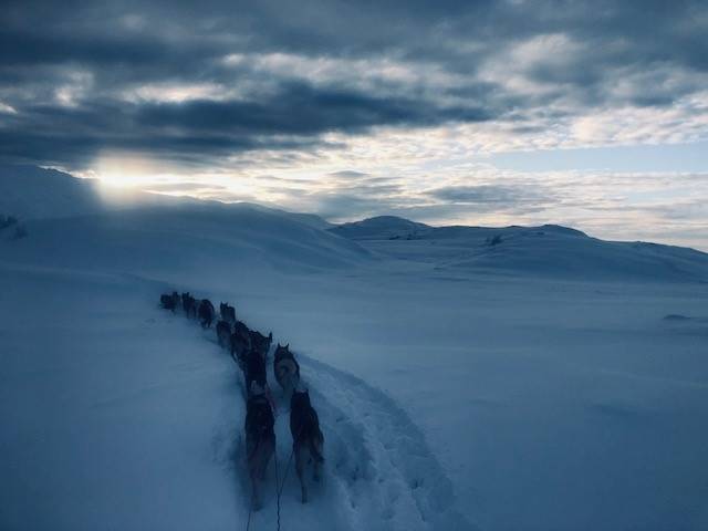 Utsikten fra "cockpit" hos Thomas Byfuglien Wærner på trening. Foto: Privat dog sledding thomas wærner