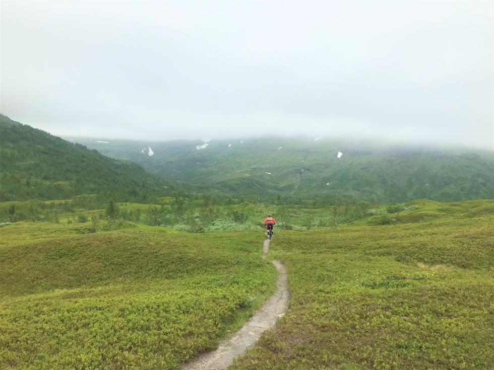 VERDENS BESTE SINGLETRACK: Det eneste du kommer til å synes om denne stien er at den er fort kort. Foto: Ola Paaske Giulbrandsen stisykling i narvik