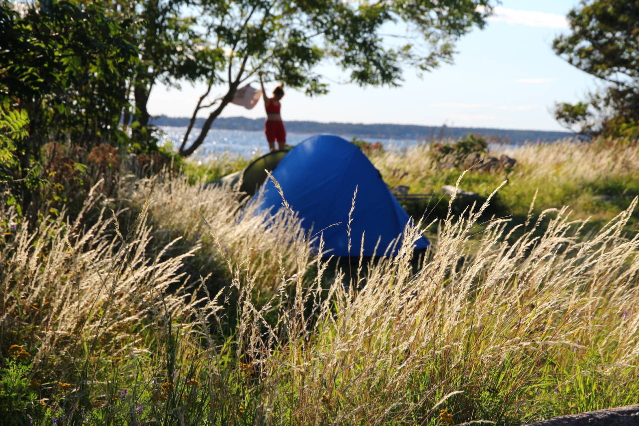LY: Egnet for en natt. Foto: Øyvind Wold hvaler rundt med kajakk