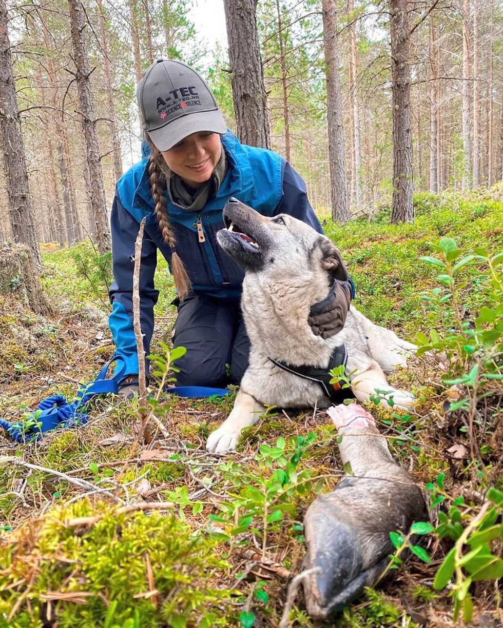 @ingeborglundby: Prøvde meg på mitt andre blodspor i går, og denne gangen alene! Artig er det når en begynner å lese bikkja og klarer å følge sporet helt frem til sporslutt Ingeborglundby