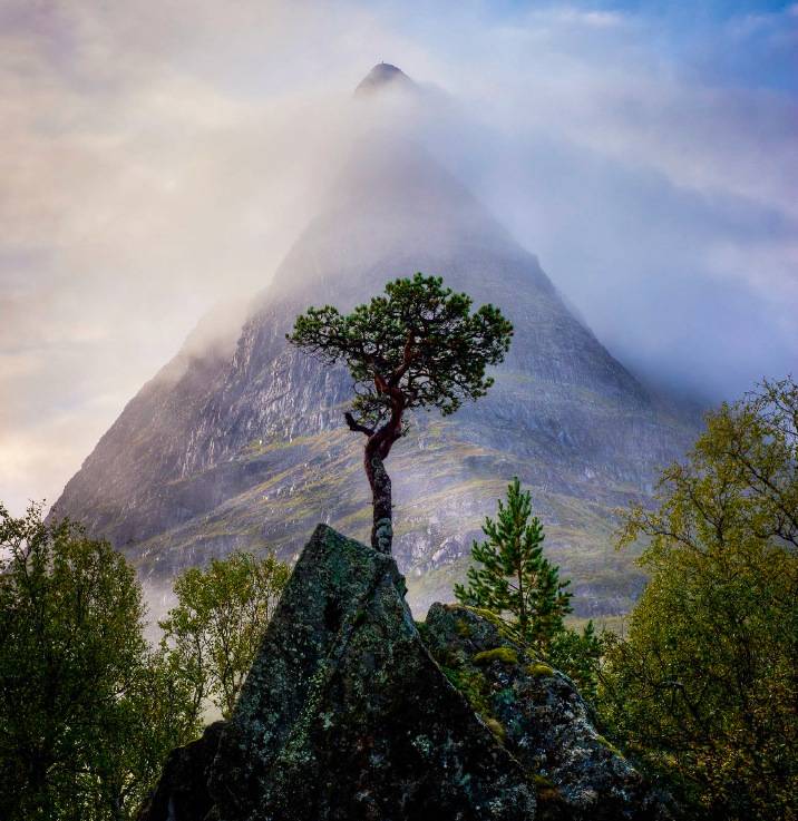 INNERDALSTÅRNET: Selveste Innerdalstårnet i all sin prakt. Til topps finnes førsteklasses klatreruter, men den er også overkommelig uten klatretau. Foto: Lars Andreas Dybvik INNERDALSTÅRNET: Selveste Innerdalstårnet i all sin prakt. Til topps finnes førsteklasses klatreruter, men den er også overkommelig uten klatretau. Foto: Lars Andreas Dybvik