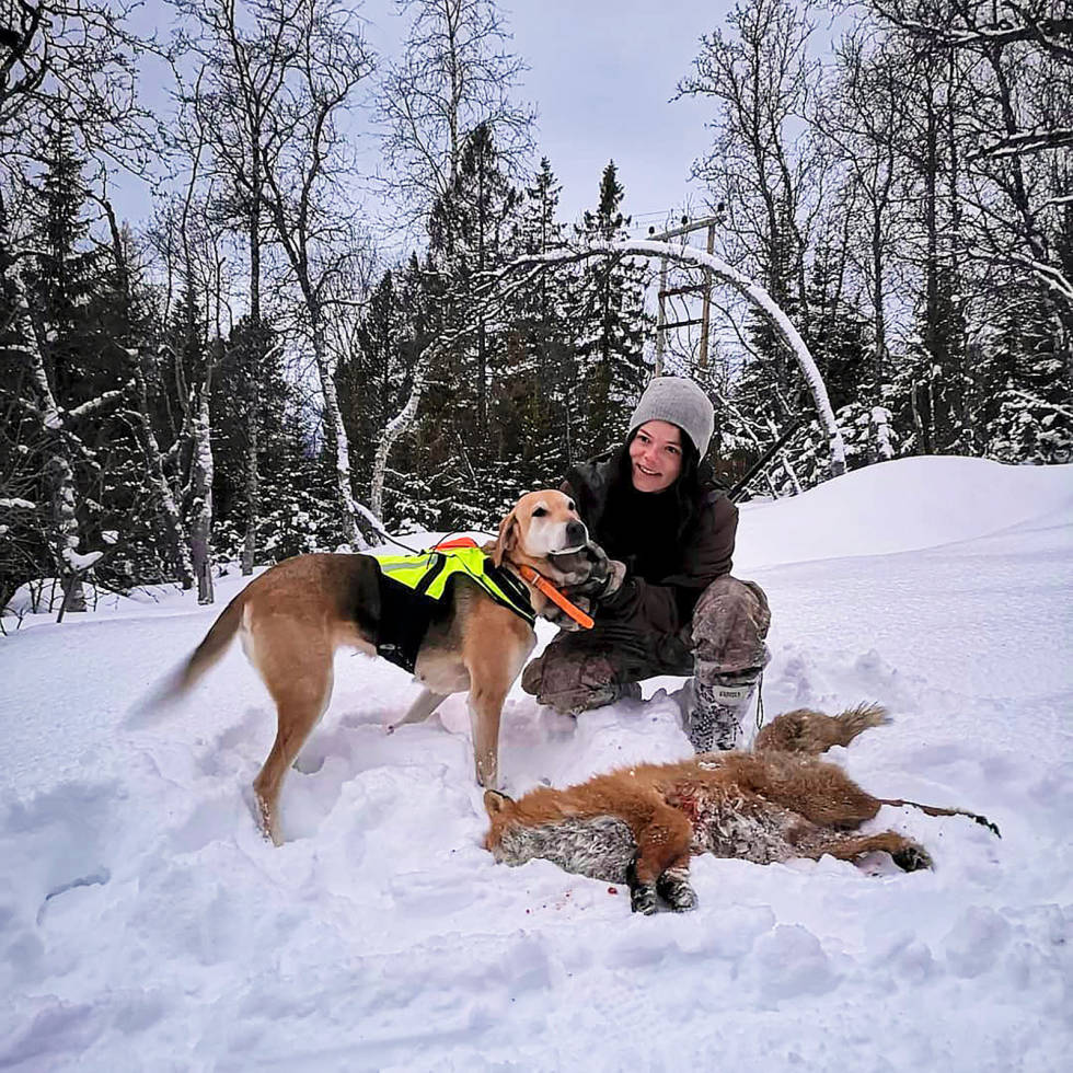@guns_n_hounds: Great day with @thybotwin1 and @rbjorkis! #revejakt #rev #foxhunting #russiskstøver #russianhound #vodkastövarns #axa #jakthund #støver #russerstøverforeningen #furdog #jegerhundogvåpen Instajeger-Februar-2020-10