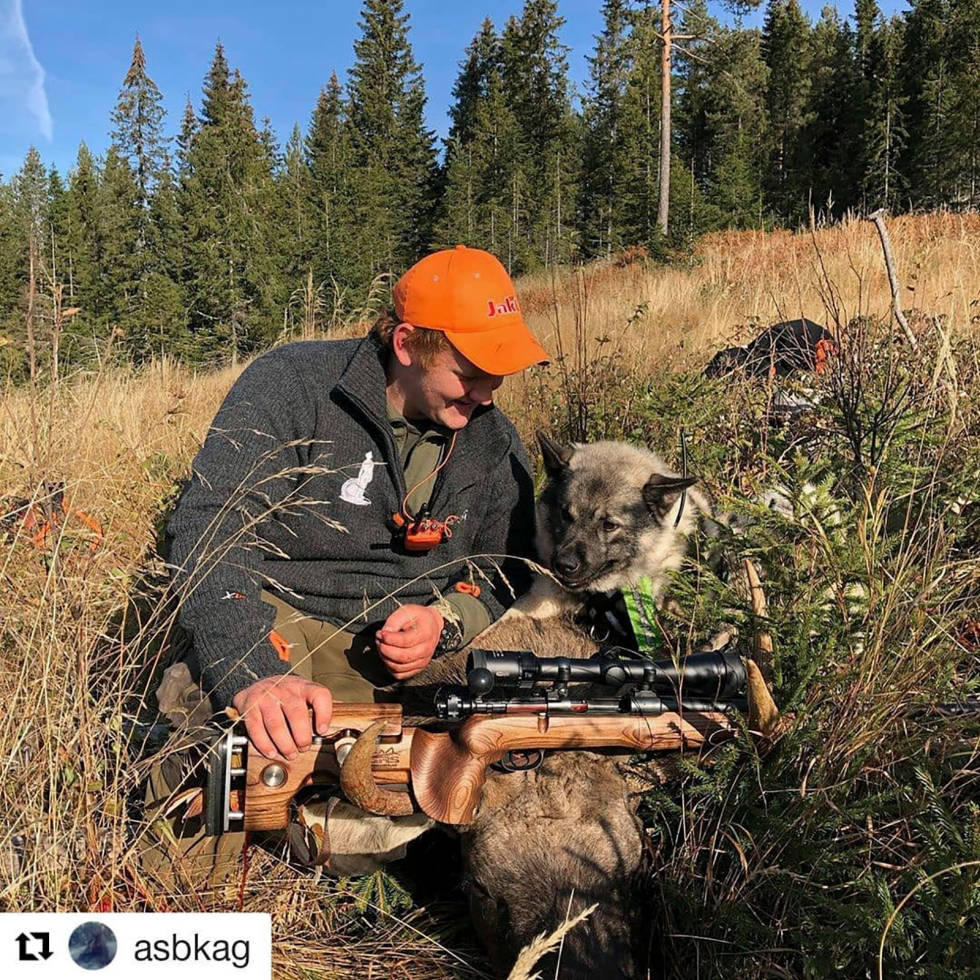 @asbkag: Ikke no tvil på att dætta radarparet her gleder sæ døkti tel høsten att. #dinjakt #jeåhunn #drever #klarefæråtahøsten2020mestorm Instajeger-Februar-2020-6