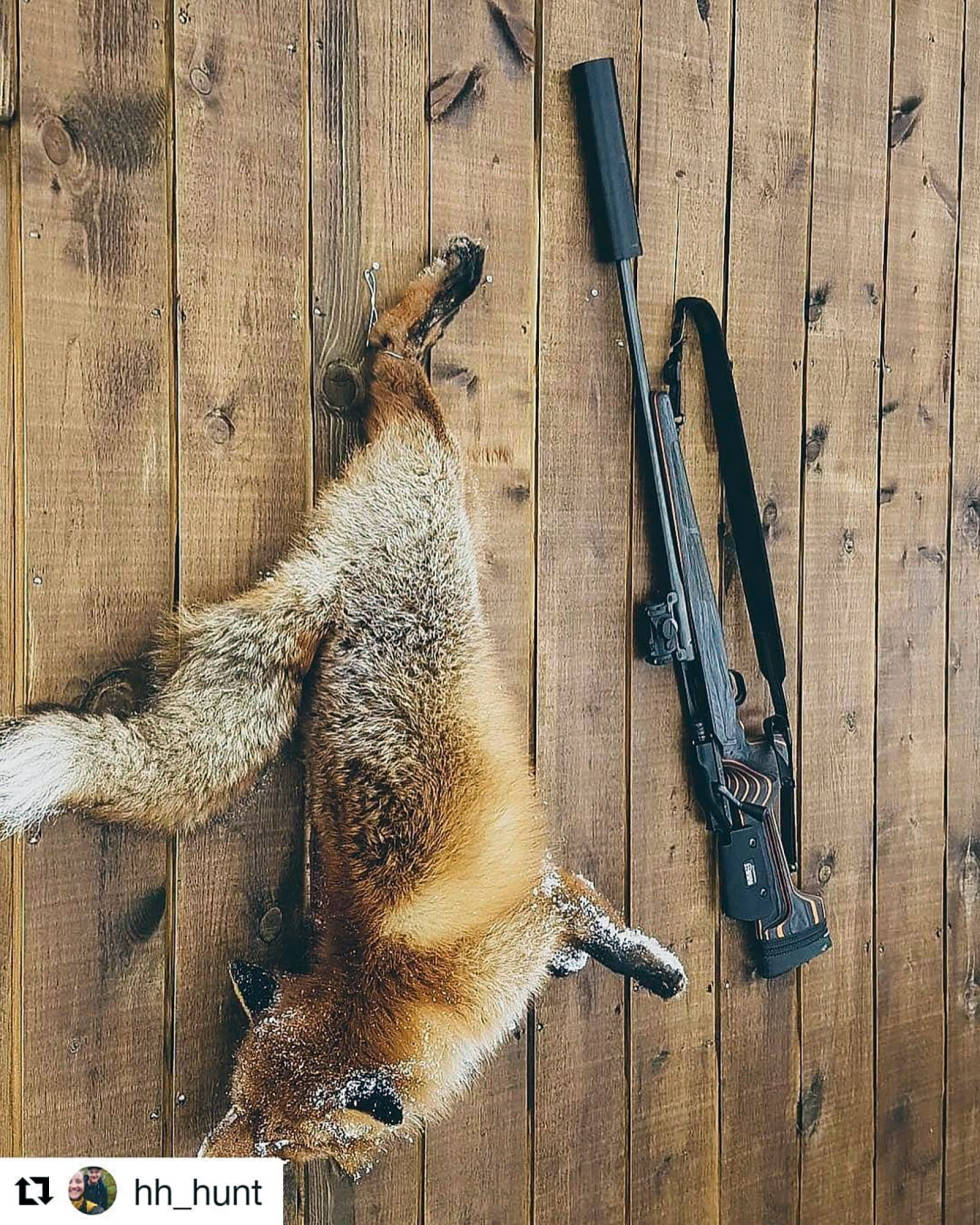 @hh_hunt: Sesongens femte Instajeger-Januar-2020-1