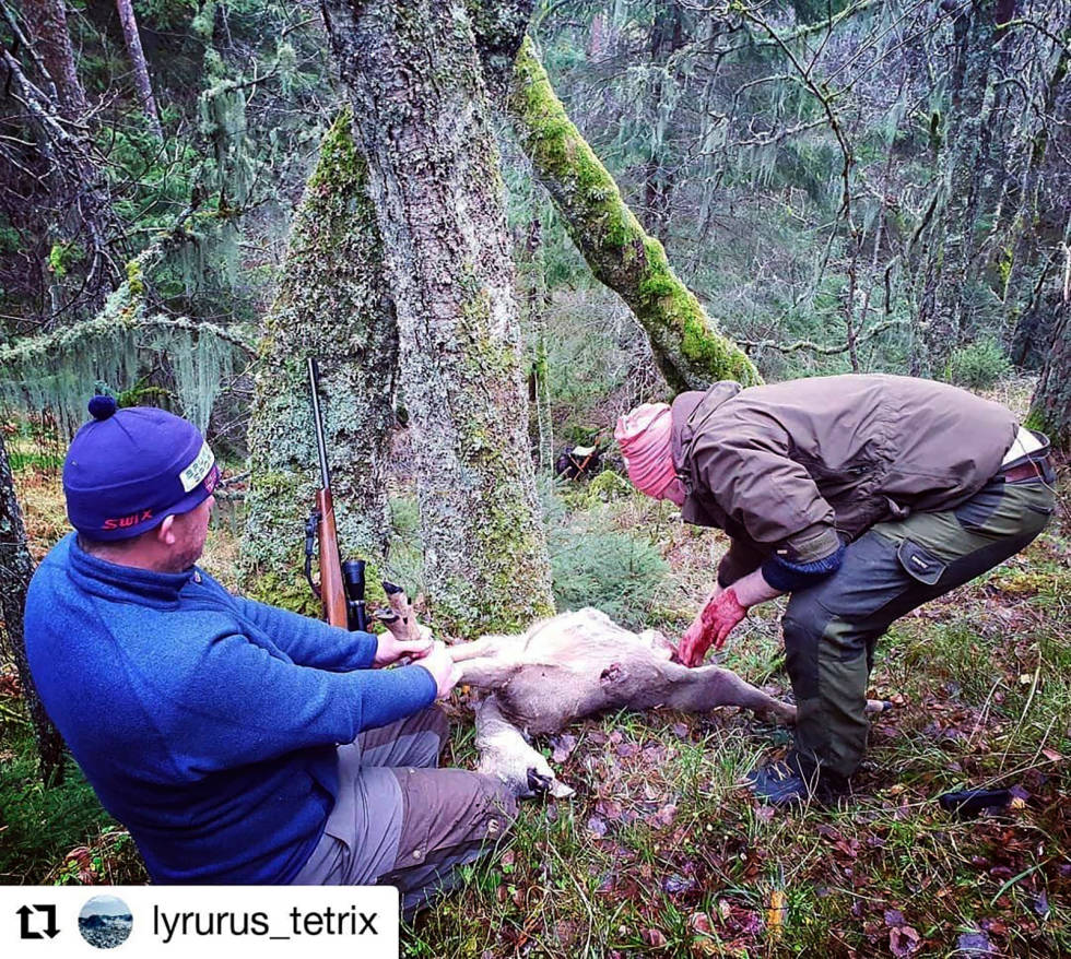 @lyrurus_tetrix: Hunting is often teamwork, before and after a fall. Instajeger-Januar-2020-8