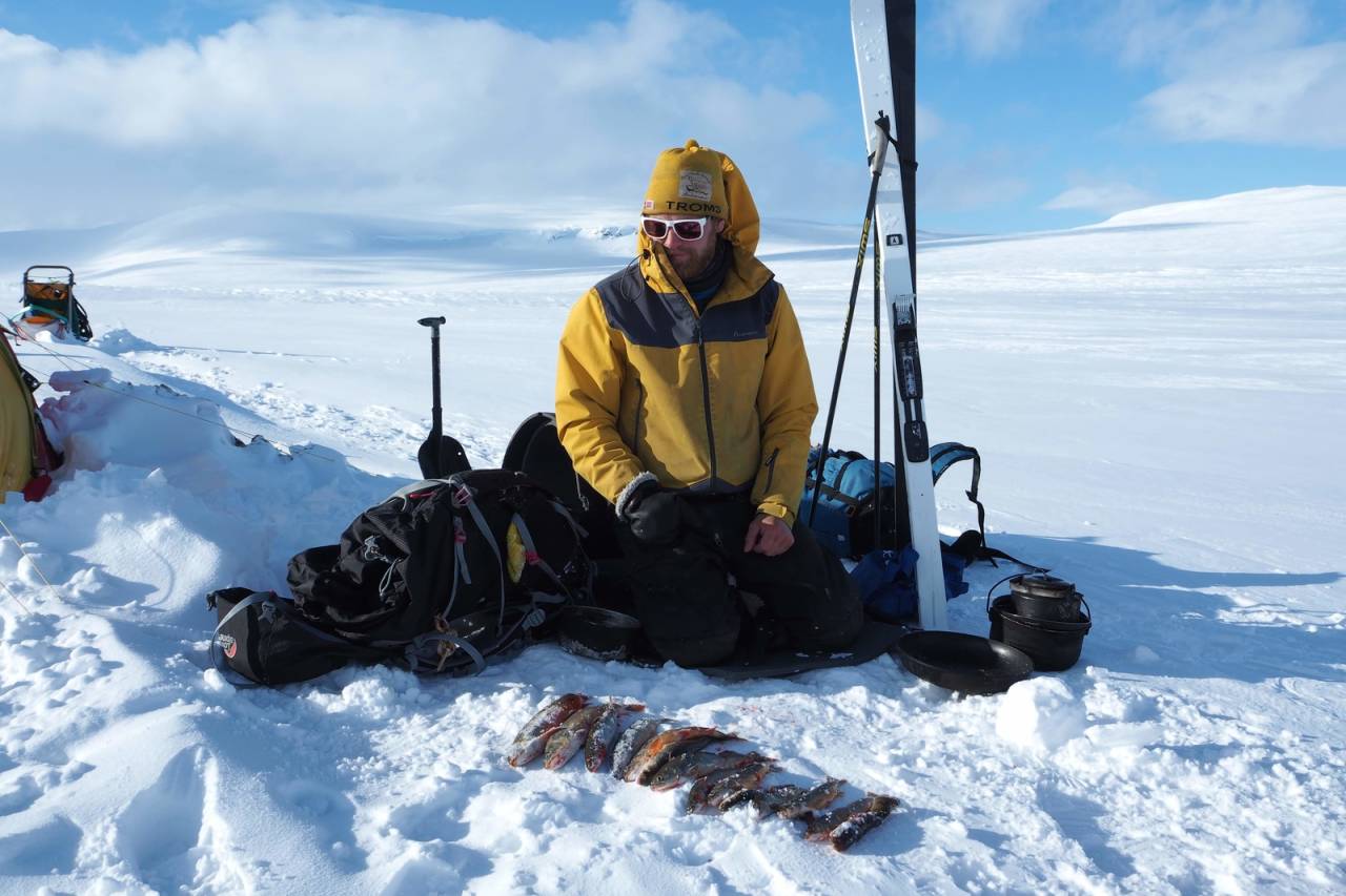 Godt fiske fører til førsteklasses mat til både oss og hundene. Foto: Frida Brockmann isfiske Dividalen Kjell Harald Myrseth