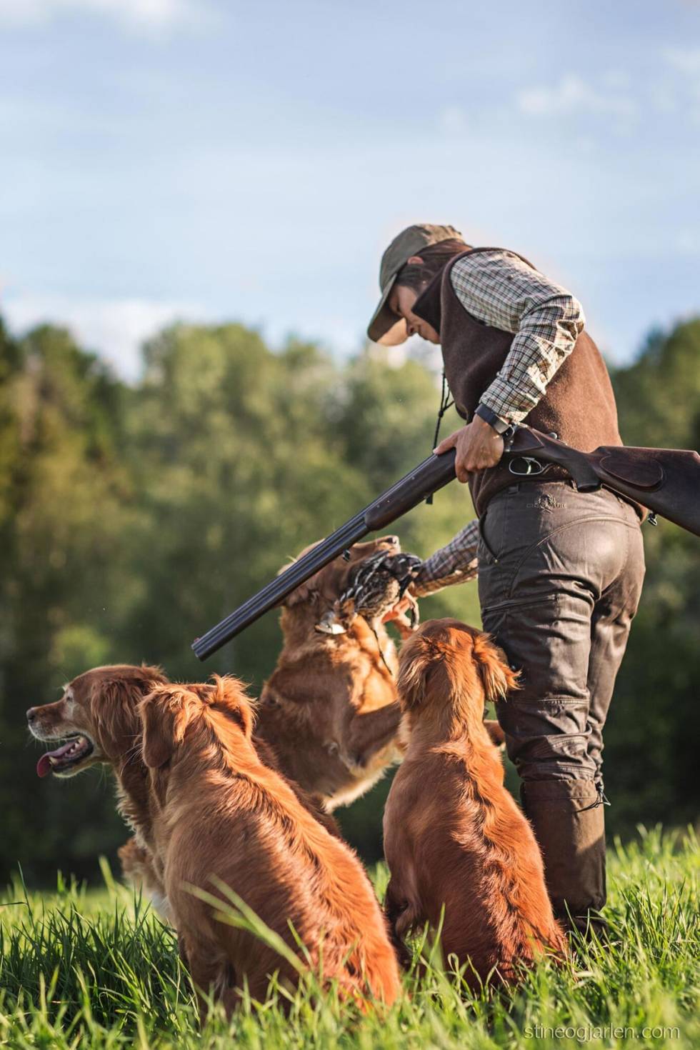 Benedicte Skaarnes i aksjon med hennes jaktlinjer av golden retriever. Foto: Stine & Jarlen jakt golden retriever benedicte skaarnes