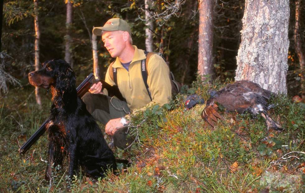 DEN SISTE: Før eller siden kommer den siste jaktdagen og den siste standen. Det er både vemodig og stas at akkurat det ble enda en voksen tiur. Jakt-med-gammel-hund-8