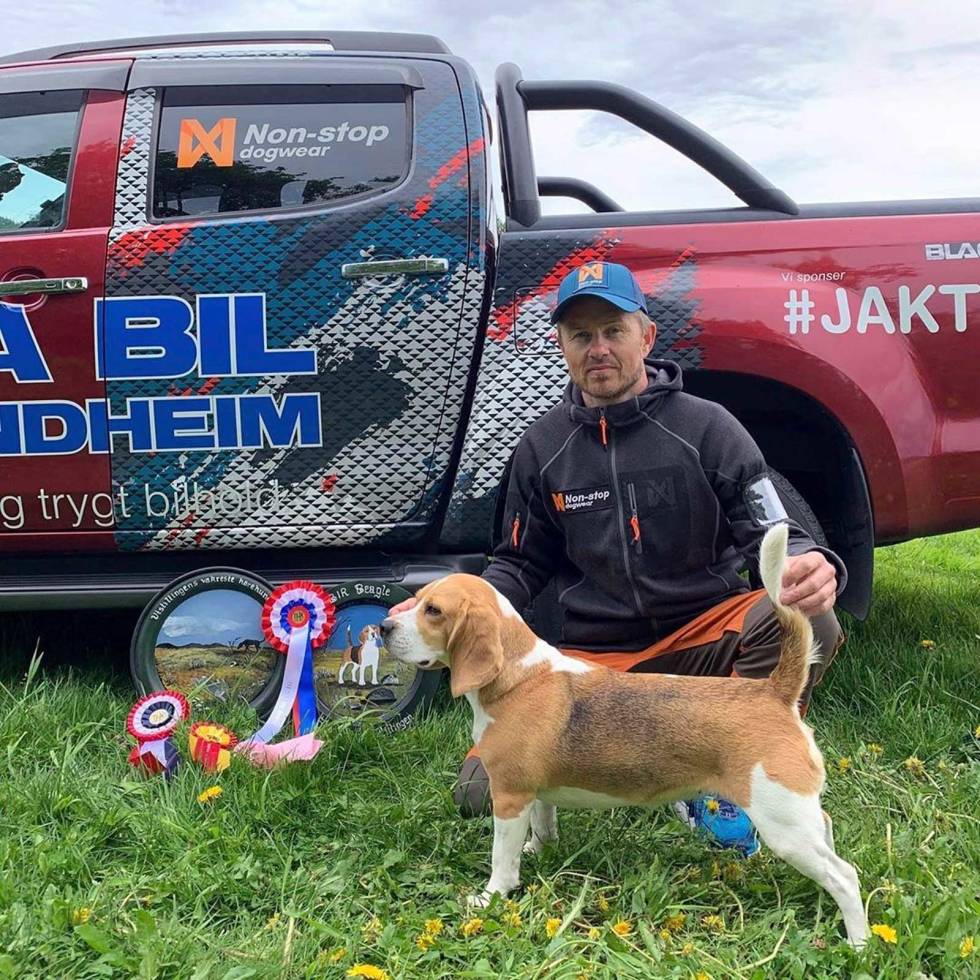 @jakt100: A great day for Varmlis CB Tara Exc.BK 1.BKK CK CERT 1.BTK BIR BIS. Winner of the show #jegere #jegerno #adventure #norgesjeger #nordichunter #huntinglife #markhusan #hunting #inatur #dinjakt #jaktogfriluftas #thegreatoutdoors #beagle #dog Jakt100