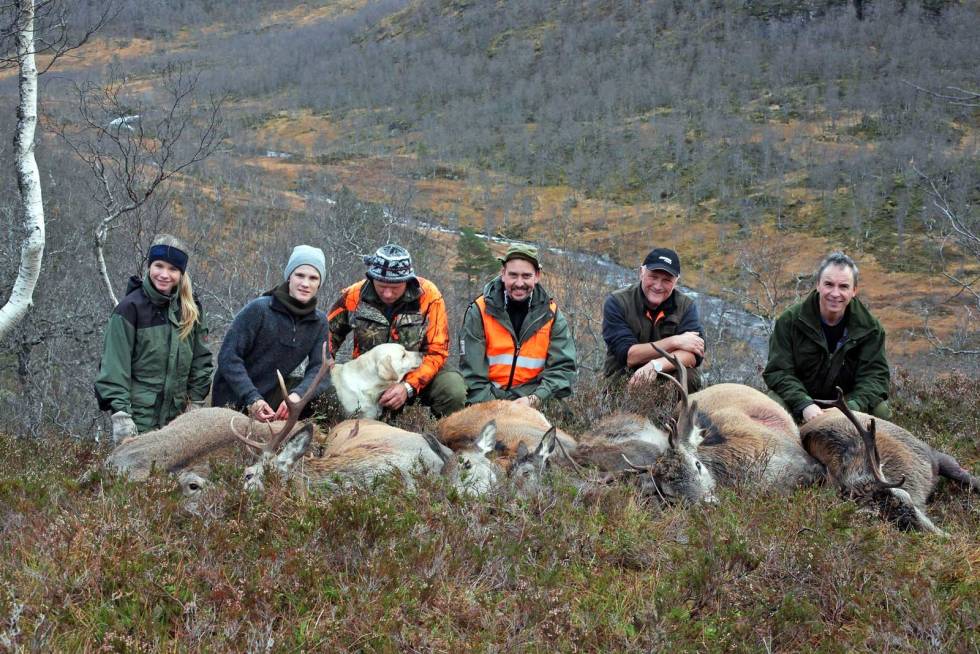 SOSIALT OG ARTIG: Mange hjortejegere på Vestlandet begynner jegerkarrieren som drivere under fellesjakt. Jaktens-fremtid-10