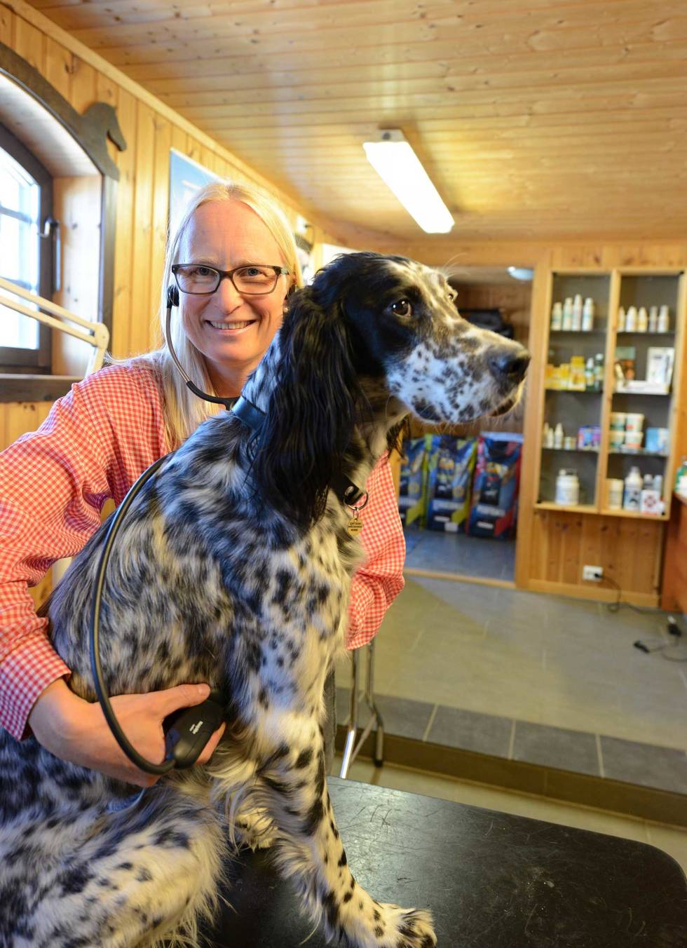 LYTT TIL HUNDEN: Veterinær Michelle Svae lytter for å sjekke eventuelle symptomer til indre skader. Men du bør også lytte til din hund dersom du synes den oppfører seg unormalt. Jakthund-Førstehjelp-veterinærtips-10