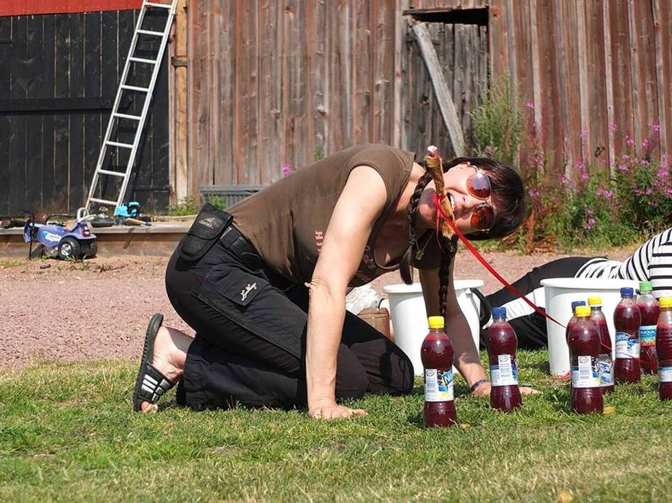 Gir alt: Som blodspor-instruktør må du være innstilt på å ta i bruk utradisjonelle metoder for å hjelpe hundene i gang. Jakthund-Haugalandet-2
