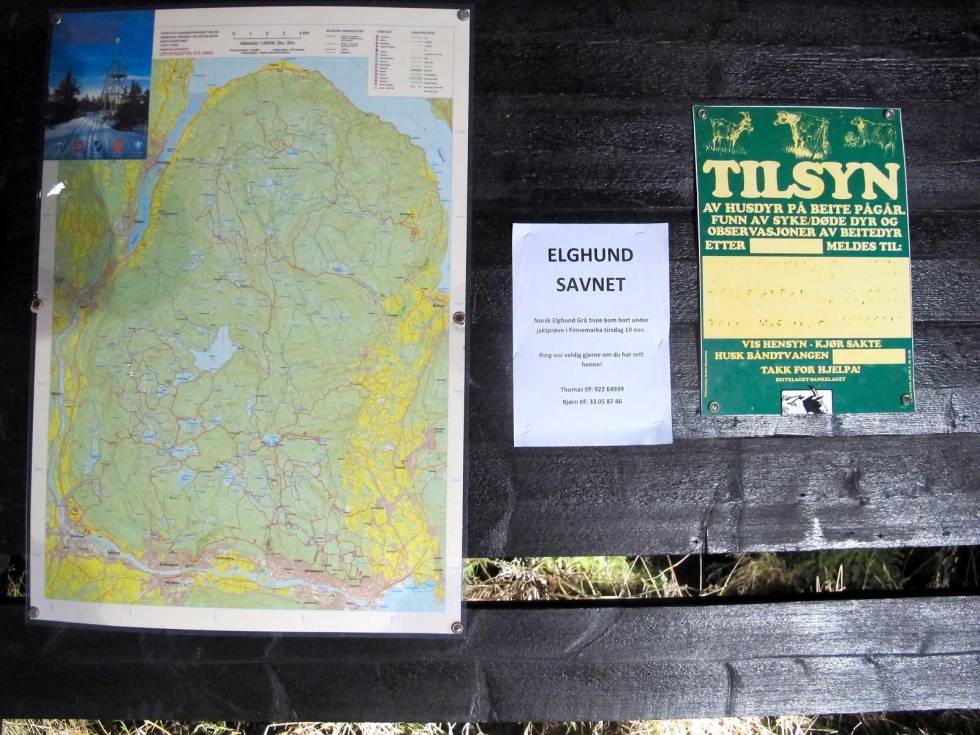 SYNLIG: Bruk lokale oppslagstavler for informasjon og etterlysning. Jakthund-savnet-4