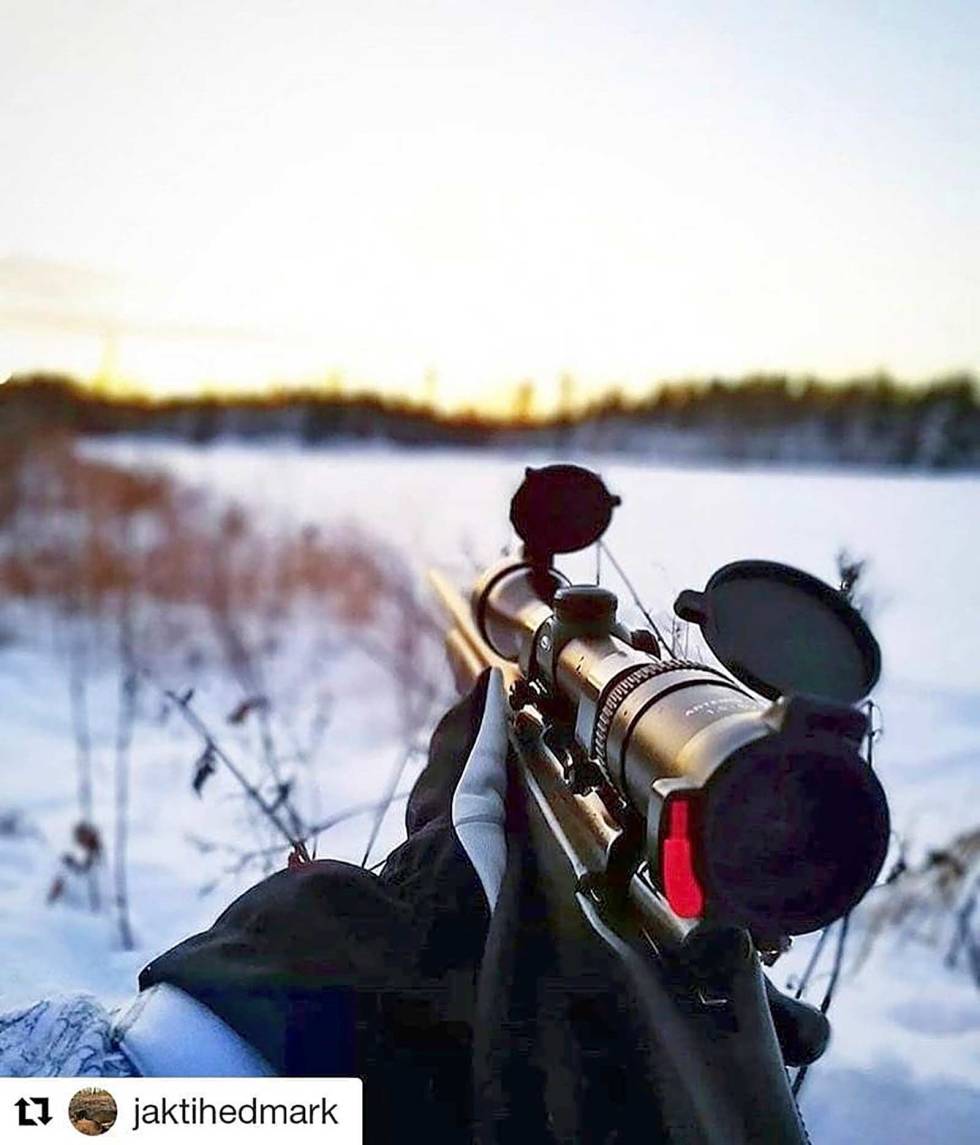 @jaktihedmark: @sindrelindgren95 ute og lokker etter mikkel #jaktihedmark #hedmark jaktihedmark-2