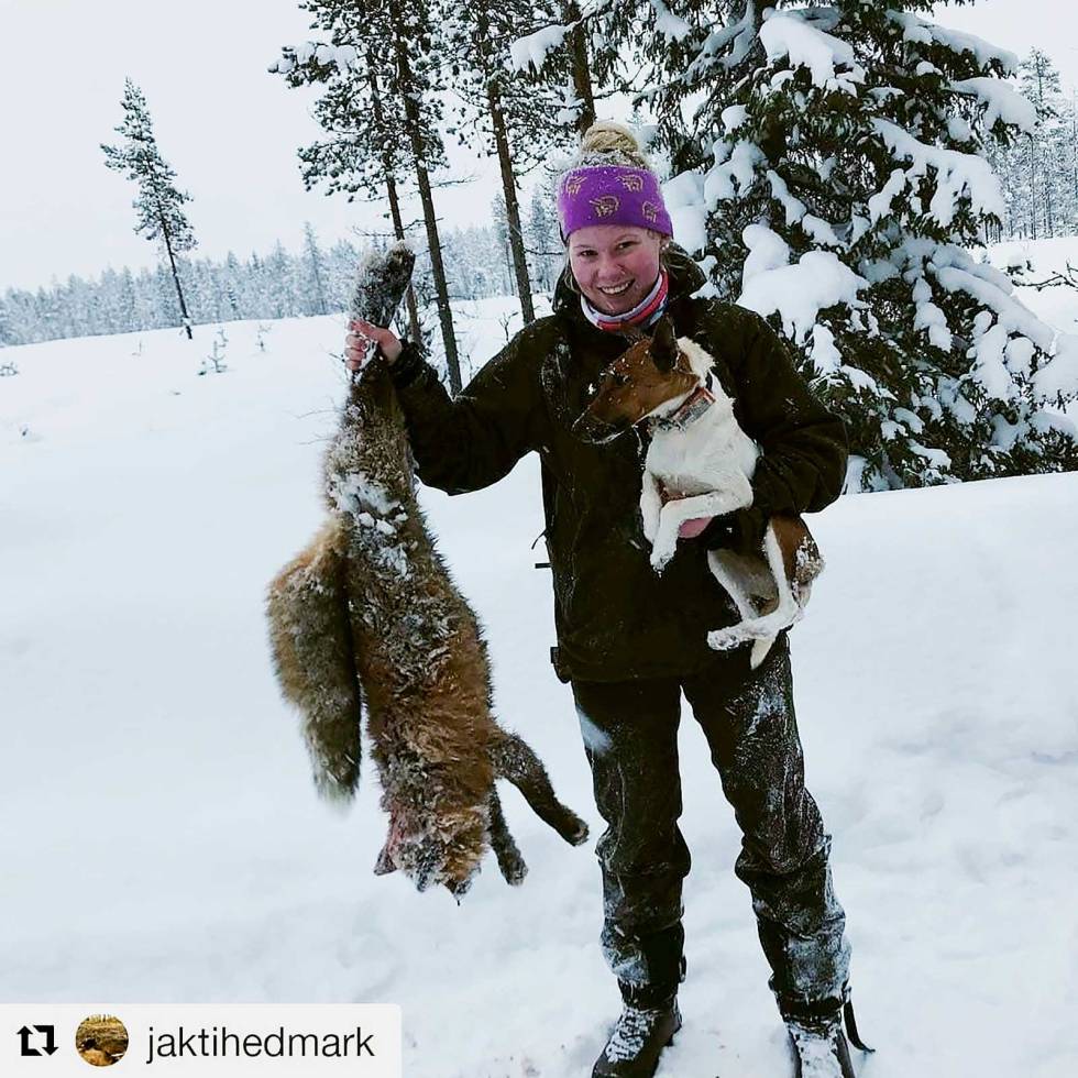 @jaktihedmark: @norwegian__hunter Julie & Åsa med en flott rev, tatt ut fra hi.#jaktihedmark #hedmark #norge #norway #revjakt #foxhunting #predatorjakt #predatorhunting jaktihedmark