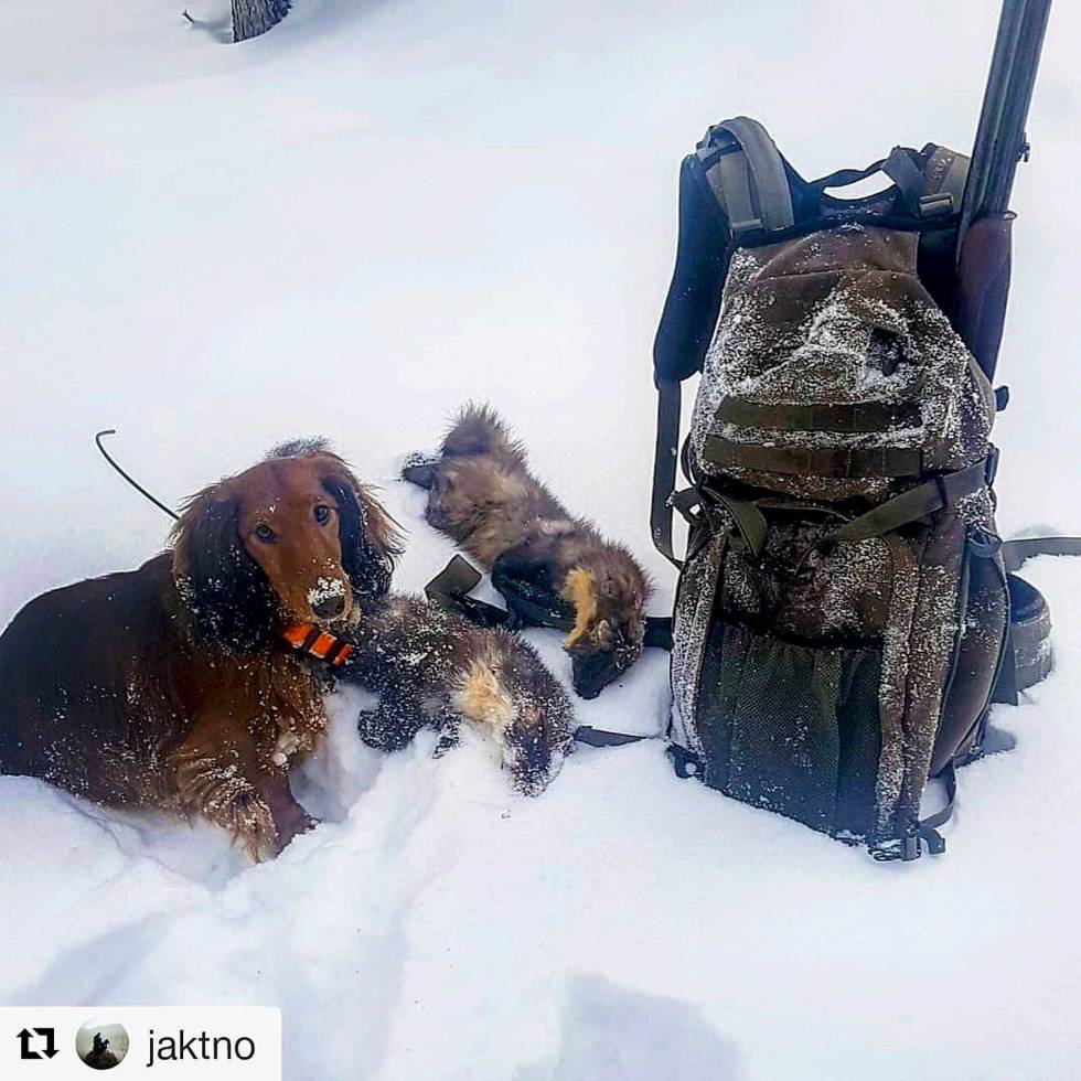 @jaktno: Another beautiful day on the trapline #fellefangst #outdoorsman #vildmarken #vornequipment #vorn #minox #kombi #trapline #huntinglife jaktno-1