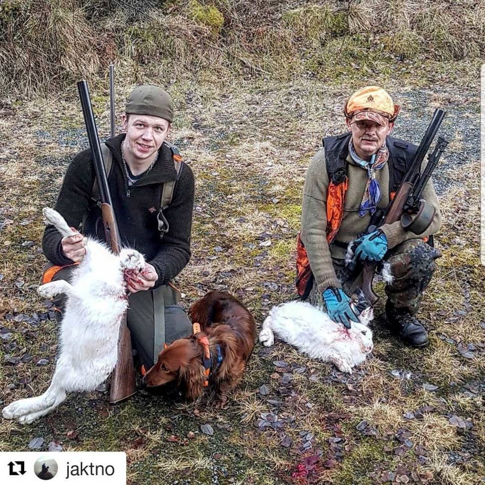 @jaktno: Gleder meg utrolig til helg og los med denne fantastiske hunden #heika jaktno-2