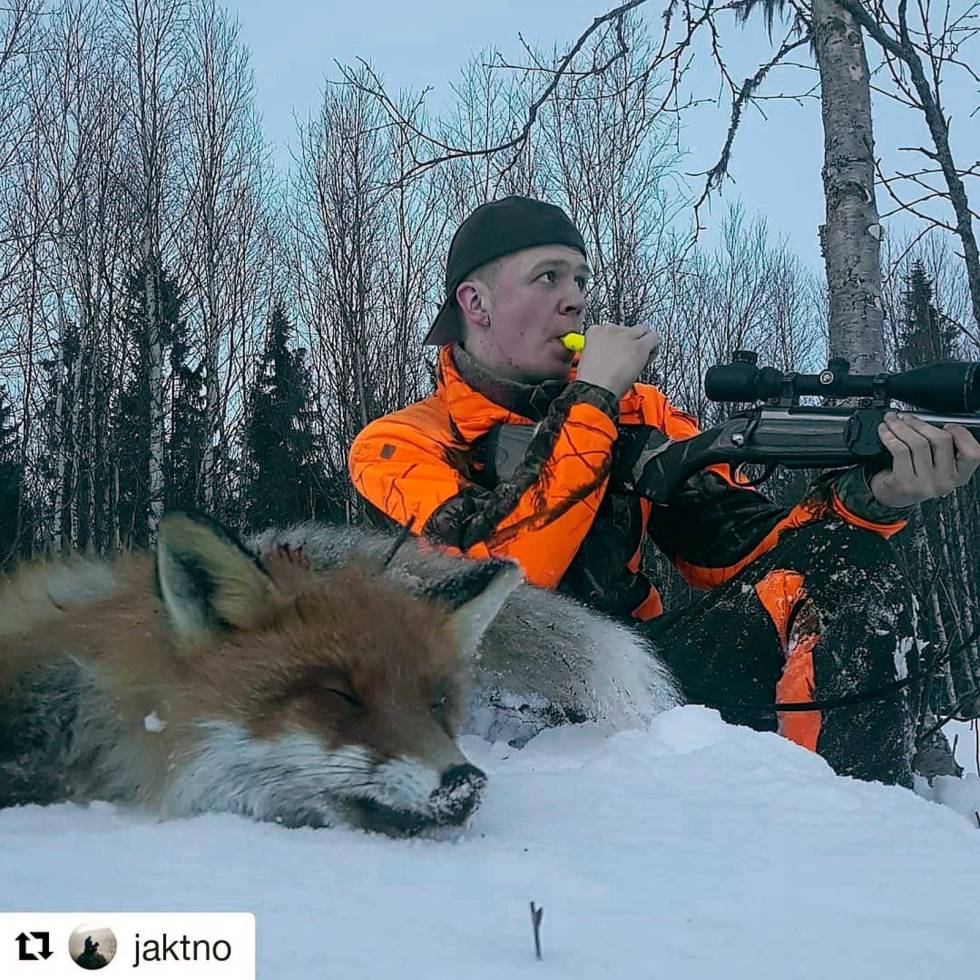 @jaktno: I dag er det 1. april. Det vil si at du har 15 dager på å skyte så mye rev du bare kan, før jakta er slutt! Denne og en til kom løpende på #clausenpredatorcall. #lokkjakt Jaktno