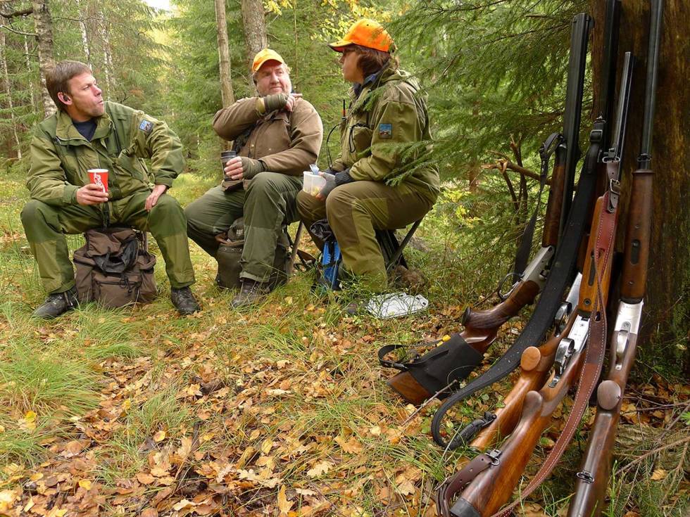 SAMJAKT ELLER FELLESLUNSJ: På skogsfugljakt kan det ofte være enklere å jakte hver for seg, istedenfor å skulle gå på linje hvis man er flere enn to. Jegerskolen-Støkkjakt-Rype-Skogsfugl-8