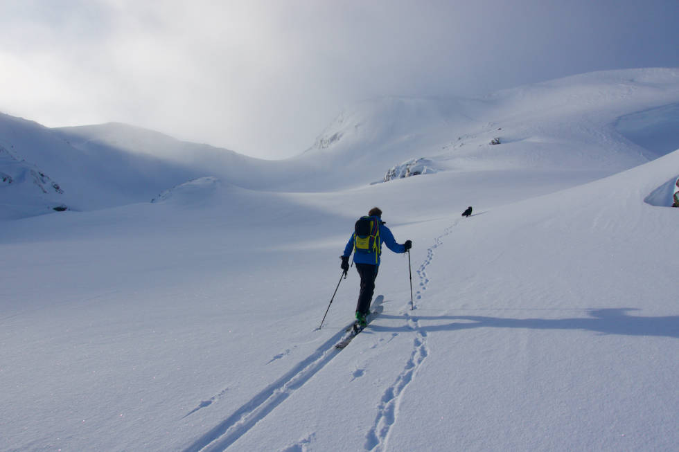 Petter Andresen og hunden Viggo på tur. Foto: Johan Wildhagen Vatnahalsen, High Camp