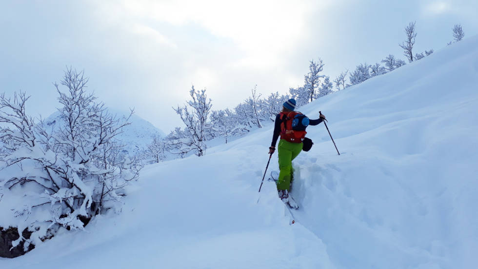 Det mangler ikke på snø eller toppturer iområdet. Foto: Brit Siv Fimland Jølster skisenter randonee topptur alpin ski snowboard skistar guide freeride