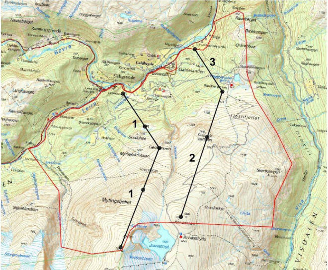 PLANEN: De svarte linjene viser hvor gondolene er tenkt plassert. Nyskridugrove ligger til venstre for heistrasé 1. Illustrasjon: Lom kommune PLANEN: De svarte linjene viser hvor gondolene er tenkt plassert. Nyskridugrove ligger til venstre for heistrasé 1. Illustrasjon: Lom kommune