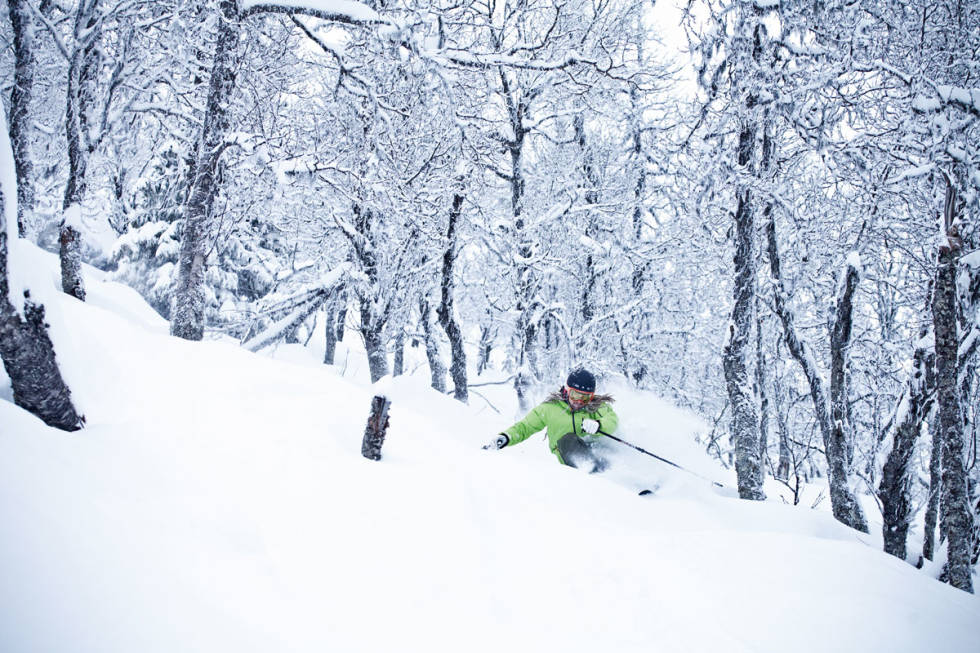 HEMSEDAL: Kaj Zackrisson i Tottenskogen. Foto: Kalle Hägglund Tottenskogen