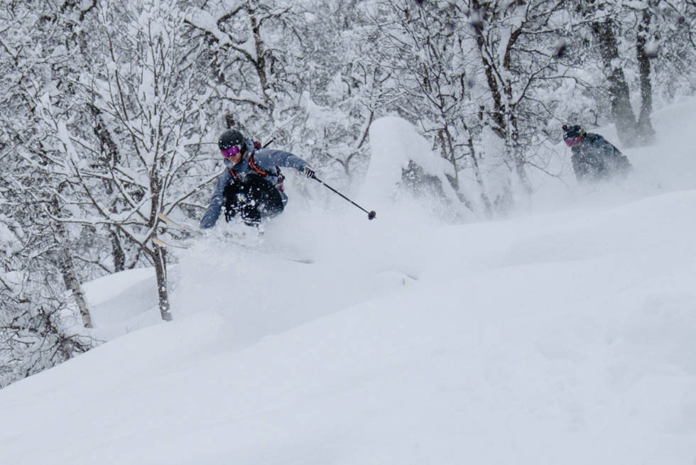 VESTLANDSPUDDER: Karl Kristian Muggerud og Robert Ruud i Hodlekveskogen i Sogndal. Foto: Bård Gundersen film tour