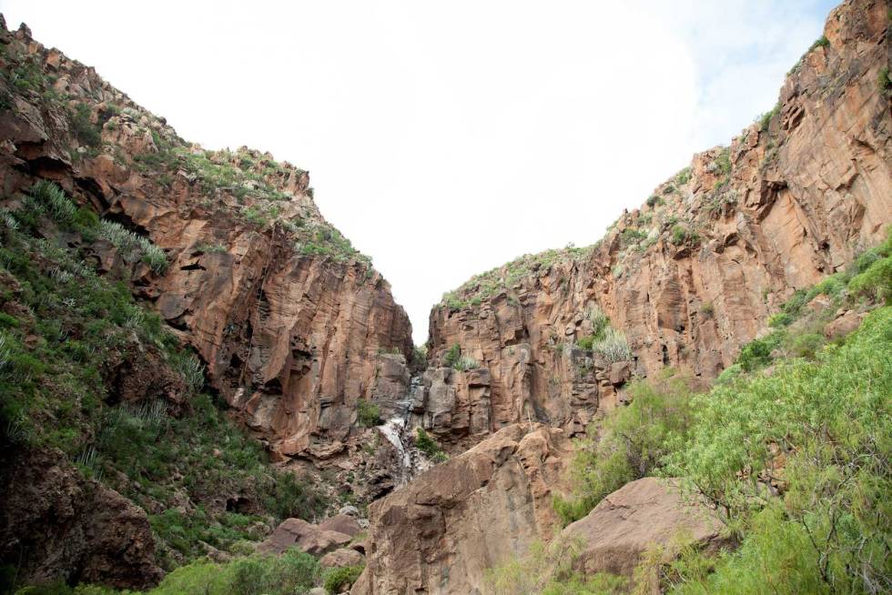 Sakralt: Katedralen i El Saltadero deles av et tørrlagt elveleie, men når det først regner slynges vannet utfor klippeveggen. Katedralen-Tenerife-3