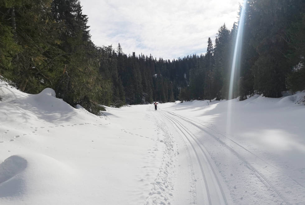 FØLG SKISPORET: Her fra Spålen, nærmere bestemt Tvetjernshøgda forrige uke. Foto: Henrik Alpers skitur i marka