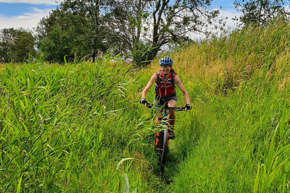 Grønt og livlig på stien sør for Mossemarka. Foto: Tord Bern Hansen Frodig landskap kyststien svinesund Oslo terrengsykkel