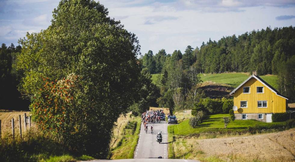 LANDLIG: Hovedfeltet tar det rolig på en av 2019-etappene. Foto: Cor Vos. ladies-tour-of-norway-2