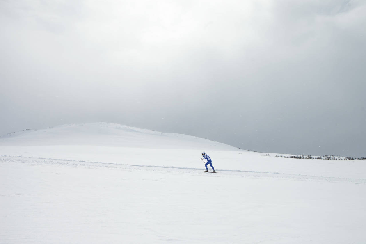 FRED OG FORDRAGELIGHET: Fra snaufjellet på Hovden. Foto: Tor Ulstein llangrenn på hovden