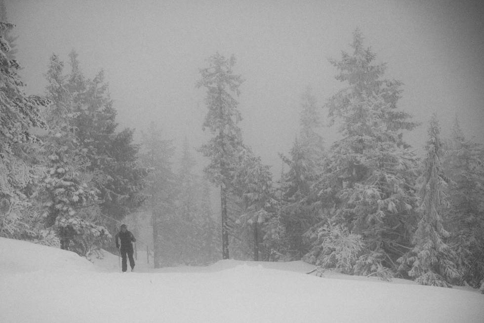 KLASSISK STIL: Artikkelforfatteren på vei ut av skogen. Langrenn-Vikerfjell-2