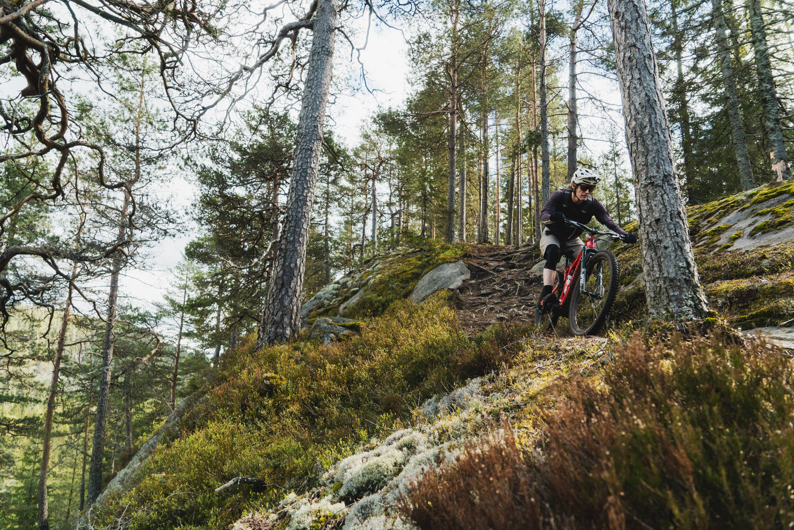 BRATT: Ryggen over på nordsiden av Barlindåsen er faktisk relativt luftig. Bilde: Christian Nerdrum Ryggen over på nordsiden av Barlinåsen er faktisk relativt luftig. Bilde: Christian Nerdrum