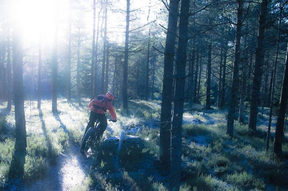 STISYKKEL-ELDORADO: Statsforvalteren i Oslo og Viken ser det som usannsynlig at det skal innføres noe totalforbud mot stisykling i Lillomarka. Foto: Jo-Inge Mandt Lillomarka stisykling