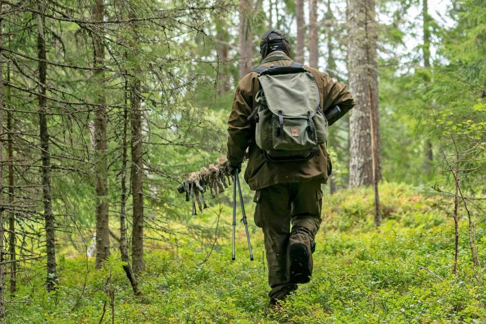 Stille: Rune legger sjela si i smyg. Beina løftes høyt for ikke å subbe i lyngen. Likevel lander de lydløst, uten at en kvist knekker. Lokkjakt-på-bukk-råbukk-7