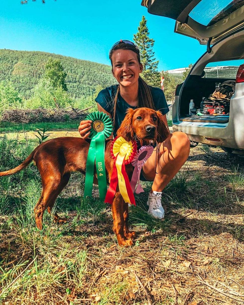 @lovisejuliussen: Fauna (4 mnd) på si første utstilling. Fikk tildelt HP, BIR og 4.BIS og var yngst av samtlige. #Saltenfuglehundklubb #fuglehundfestival #jegerogfisk #utstilling #jakthund #fuglehund #irsksetter #valpeshow #nonstopdogwear #faunaofscandinavia #browning #nkk #njffjenter #jaktdamer #aclima lovisejuliussen