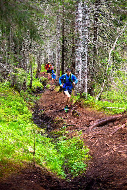 MOLDE7TOPPER: Et 18 kilometer langt sti-/fjelløp med start og mål ved Romsdalsmuseet. Foto: Stian Drogseth Molde7topper foto stian drogseth
