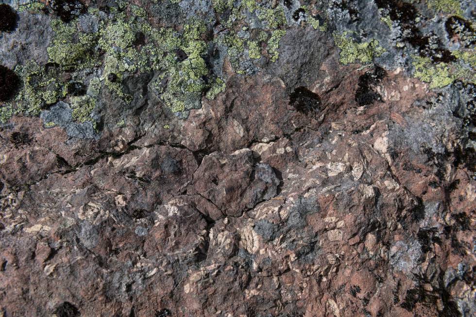 SPENNENDE GEOLOGI: Kolsås er en av tre plasser i verden der du finner bergarten rombeporfyr, og det er også mye basalt (vulkansk stein) på Kolsås. Foto: Istvan Virag Mountain_Body_Kolsaas_Preview_2021_WebRes_09