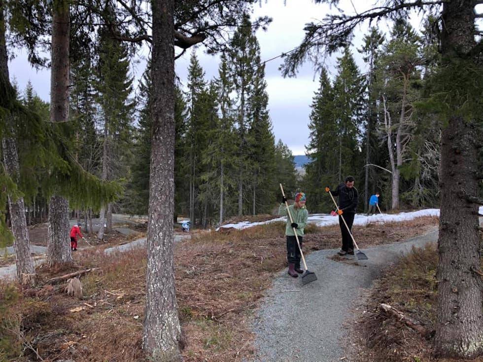 DUGNAD: Det er lagt ned en stor jobb for å kunne åpne noen av stiene i Nilsbyen terrengsykkelpark i Trondheim denne helga. Foto: Ola Resell Dugnad Nilsbyen Terrengsykkelpark i Trondheim