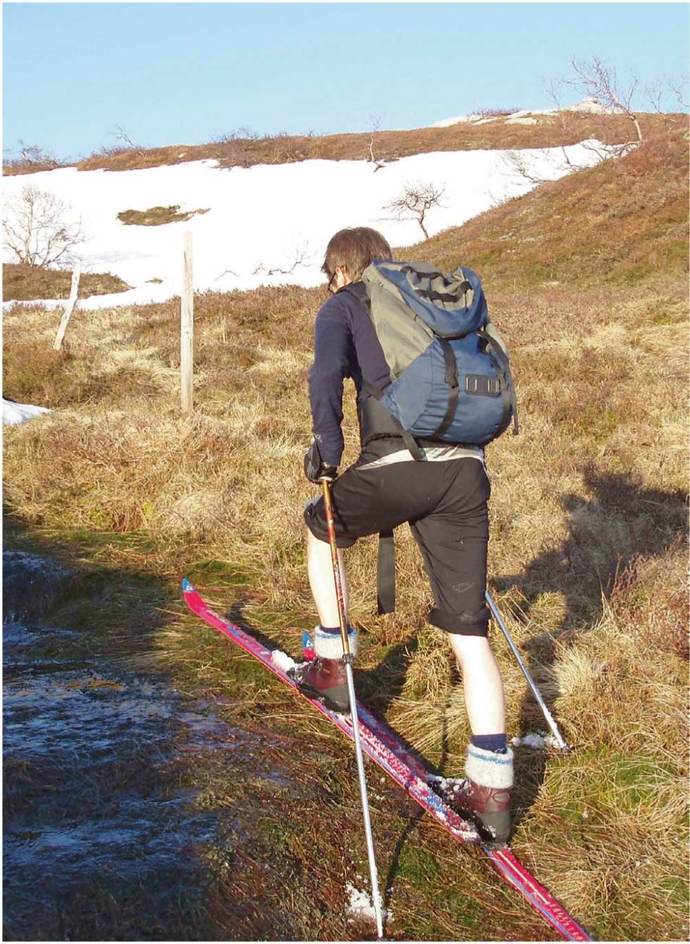 Skitur første uka i juni! På vei mot Urddalsknuten. Foto: Nils Martin Skaanes Njardarheim-Nils-Martin-Skaanes-2