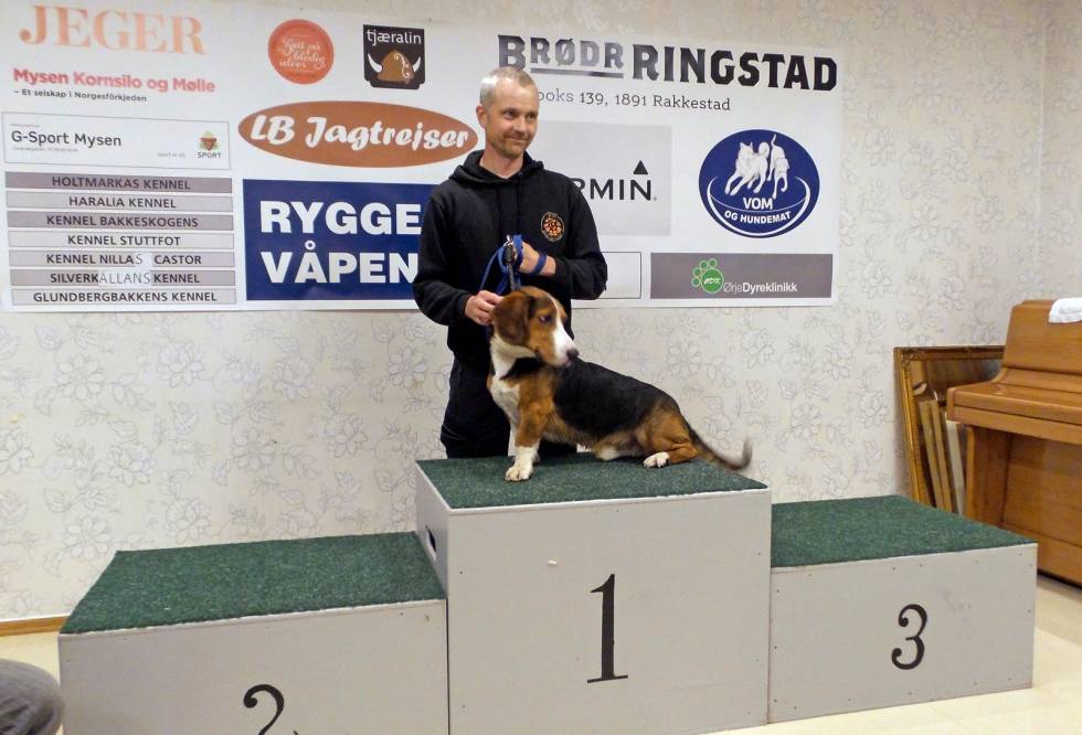 GOD INNSATS: Beste norske ekvipasje ble Tommy Andersen med Kvindølens Proffen på en solid fjerdeplass. Nordisk-mesterskap-hundeutstilling-5