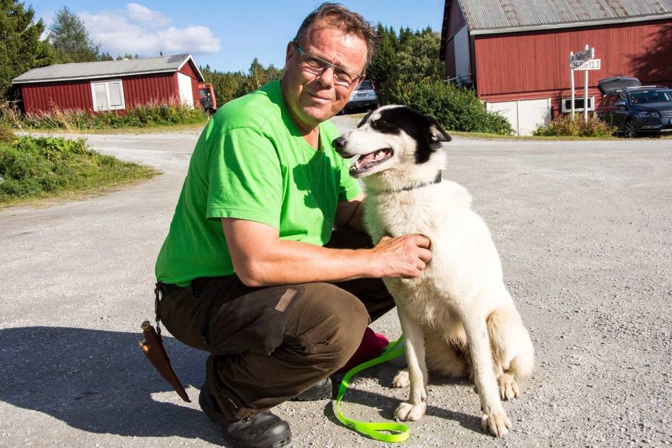 Flink bisk: Etter mer enn fem timer i skogen var det godt for både eier Juha Kotiranta og øst-laikaen Hilla å slappe av på Lierne gjestegård. (Foto: Stein Roar Nervik) nordisk-mesterskap-løshund-2