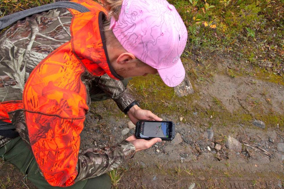 Følger bikkja: Domer Emil Engberg sjekker mobilen for å se hvordan DL-Messi jobber på sporet. (Foto: Nils Vidar Bratlandsmo) nordisk-mesterskap-løshund-4