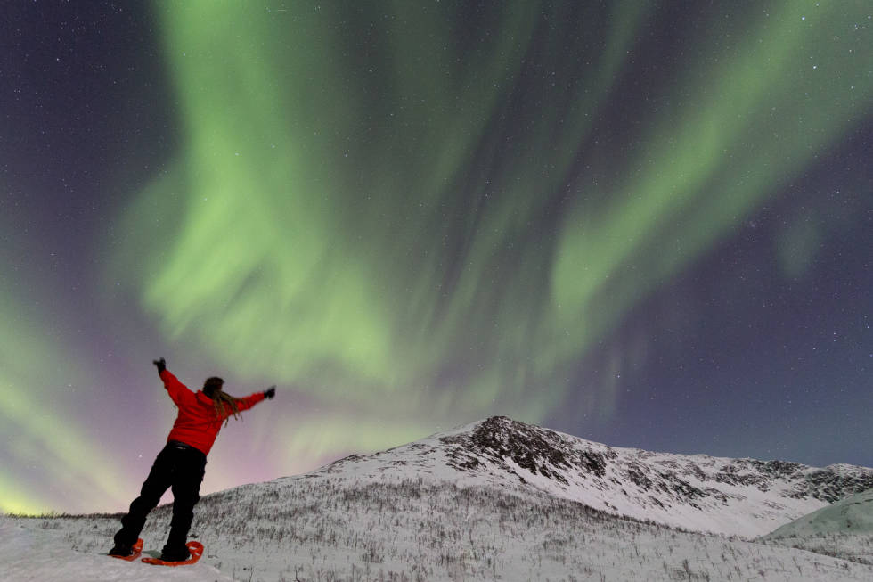 NORDLYSSAFARI: PÅ rett sted til rett tid. Foto: Therese Norman Andersen nordlys trugetur tromsø