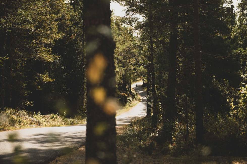 HVILEPAUSE #2: Når du sent på dagen kommer til asfalten ved Jaklefoss vil du få en liten pause før bakkene igjen starter. Foto: Henrik Alpers. Nordmarka-sykkel-gravel-16-2